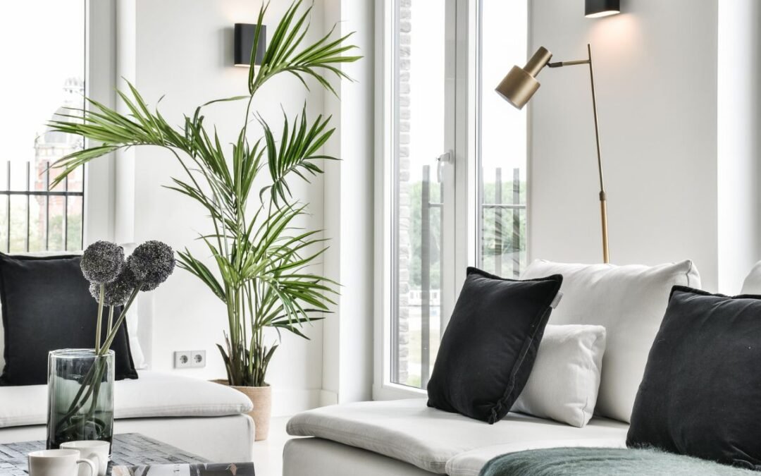 Decorar con plantas el salon