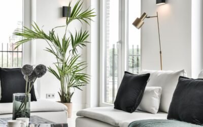 Decorar con plantas el salón